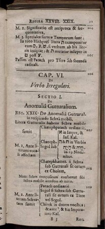 Cap. VI. De Verbo Irregulari