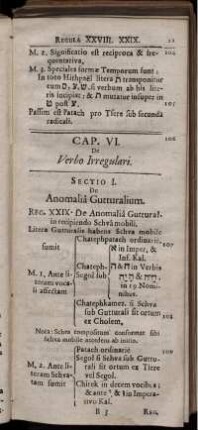Cap. VI. De Verbo Irregulari
