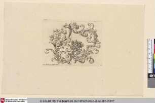 [Ornament-Kartusche; Ornamental subject]