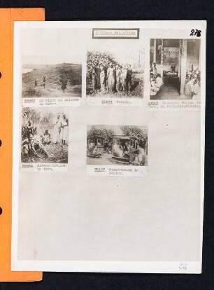 Albumblatt 56 mit Angebotsserie "Britisch Ost-Afrika"