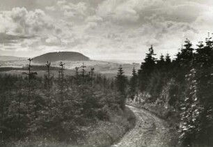 Westerzgebirge. Christliebeweg in Fichtenschonung bei Jöhstadt. Blick nach Westen gegen den Bärenstein