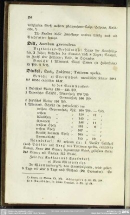 Dill, Anethum graveolens