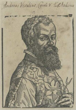 Bildnis des Andreas Vesal