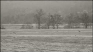 Sonntag Schnee #02