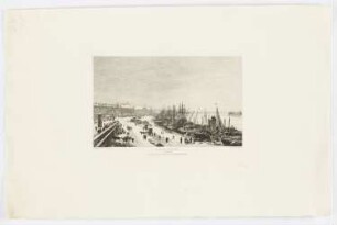 Rade de Bordeaux. (Janvier 1868.)