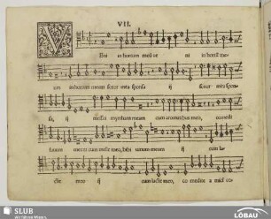 VII. Veni in hortum meum