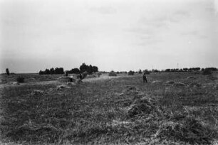 Ernte : Männer ernten ein Feld mit Futtermitteln.