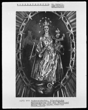 Immaculata