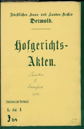 Junker, Martin Henrich zu Detmold gegen Henrich Hünefeld zu Detmold - Schuldforderung