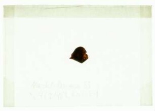 [Beil. 29]