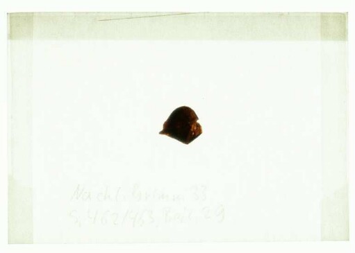 [Beil. 29]