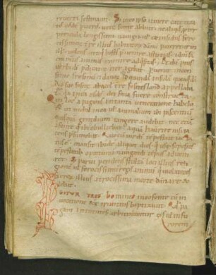 Bewohnte Initiale I (mit Schlange)