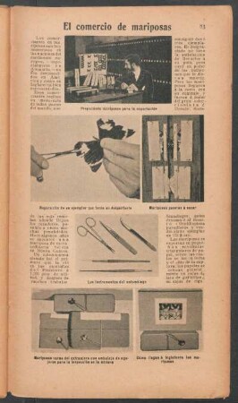 El comercio de mariposas