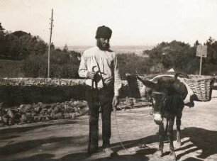 Lissabon. Bauer mit Esel