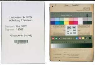 Entnazifizierung Ludwig Klingspohn , geb. 21.03.1900 (Landwirt)