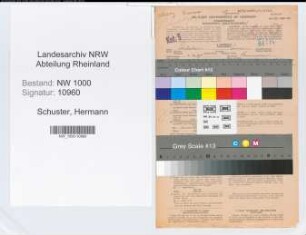 Entnazifizierung Hermann Schuster, geb. 01.12.1895 (Oberinspektor)