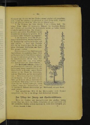 Apfelbaum-U, mit zwei Armen.