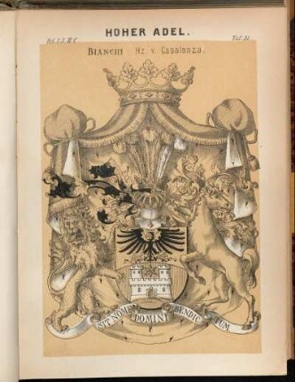 Taf. 51. Bianchi Hz. v. Casalanza.
