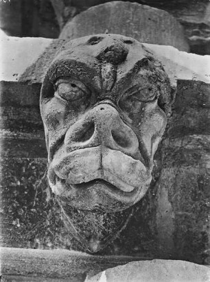 Tabernakelornament der Kathedrale zu Reims, Bulldoggenkopf