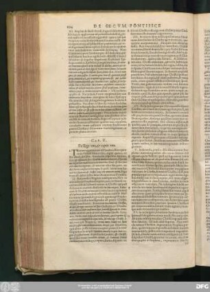 Cap. V. De Rege uno, & capite uno.