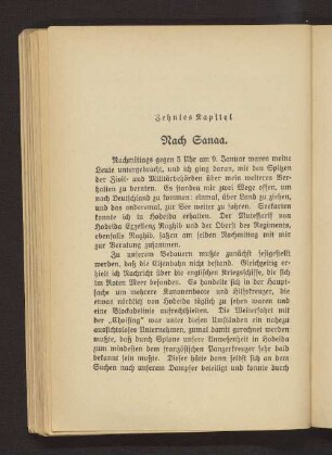 Zehntes Kapitel. Nach Sanaa.