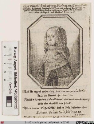 Bildnis Sophie Elisabeth, Herzogin zu Braunschweig-Lüneburg-Wolfenbüttel, geb. Prinzessin von Mecklenburg-Güstrow