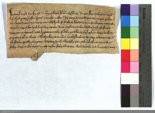 Friedrich, eps. Curensis, gewährt allen, die die Elisabethkirche in Marburg mit Gaben unterstützen und besuchen, einen 40tägigen Ablaß.