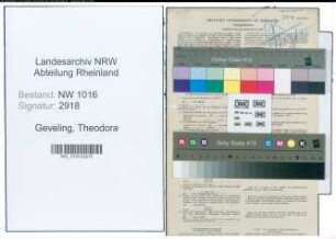 Entnazifizierung Theodora Geveling , geb. 11.01.1890 ()