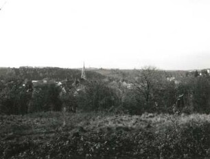 Roßwein. Stadtansicht. Blick von Nordosten von Wunderburg