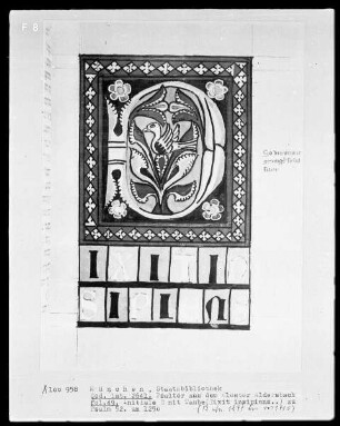 Psalterium mit Kalendarium aus Aldersbach — Initiale D (ixit insipiens), darin Taube, Folio 49recto