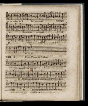 XIII. Herz wann ich nur dich habe (a 3. Altus, Tenor & Bassus)