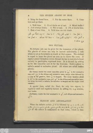 Elision And Assimilation