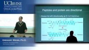 Lecture 10. Proteins and Amino Acid Conformations.