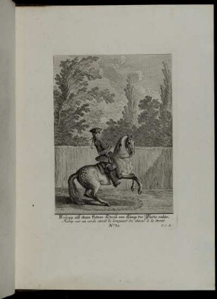 [Abbildung] No. 31 - No. 40