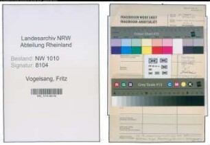 Entnazifizierung Fritz Vogelsang , geb. (Stahlproduktion)