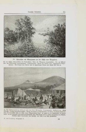 38. Strandsee mit Mangroven an der Küste von Neuguinea