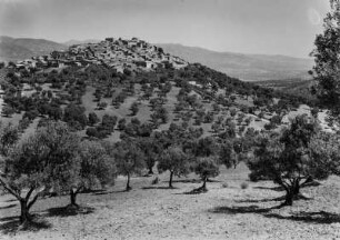 Dorf und Landschaftsblick : Blick auf ein kabylisches Dorf, das auf einer Bergkuppe gelegen ist. Unterhalb des Dorfes befinden sich Gersten- und Weizenfelder unter Ölbäumen.