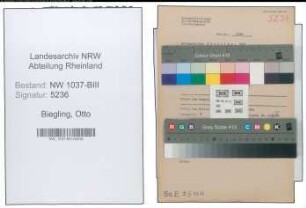 Entnazifizierung Otto Biegling , geb. 09.04.1906 (Zollbeamter)