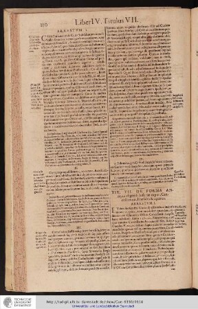 Liber IV. Titlus VII.