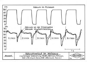 Vakuumverlauf im Melkzeug (tiefverlegte Melkleitung, 50 kPa, 60 Z/min, 70 % sim. NW k. Milchschl. 8 mm, NW l. Milchschl. 14 mm)