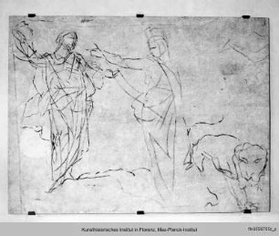 Figurenstudie zum Deckenbild Triumph der Venus - studio di figure per l'affresco trionfo della Venere