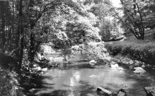 Löbau-Bellwitz. Löbauer Wasser im Skalatal