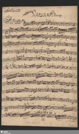 Violino princip.