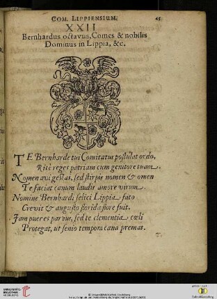 XXII. Bernhardus octavus, Comes & nobilis Dominus in Lippia, &c.