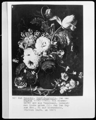 Ein Blumengefäß und ein Vogelnest