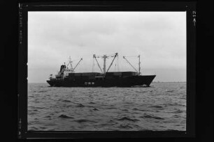 Eider (1978)