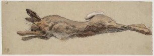 Liegender toter Hase