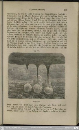 Fig. 33. Wasserhose