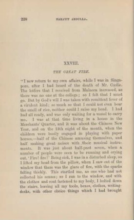 XXVIII. The great fire