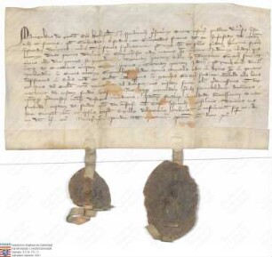 von Heusenstamm: Bischof Manegold von Würzburg